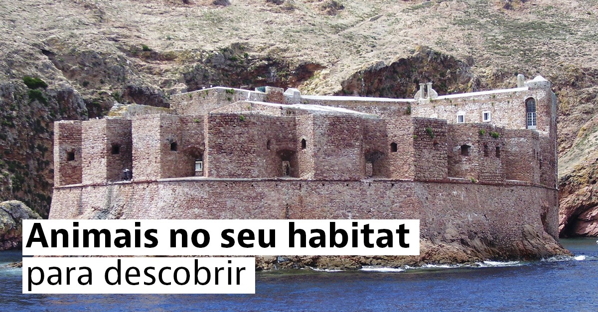 Reservas de natureza em Portugal 