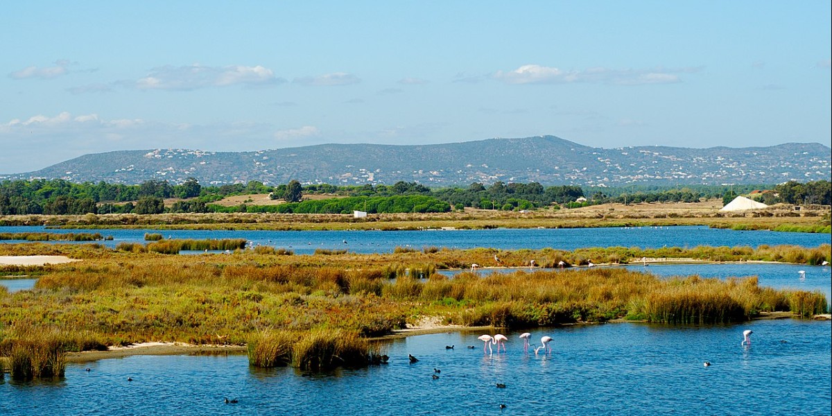 Parque Natural da Ria Formosa