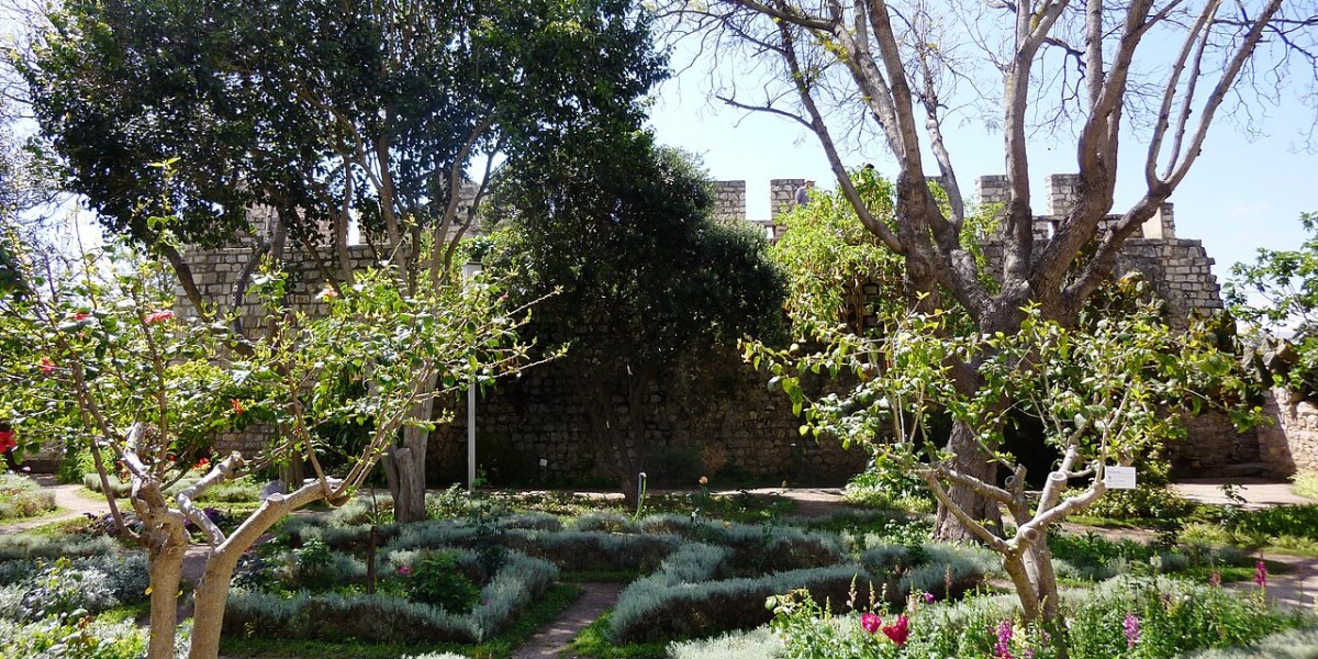 Jardim do Castelo