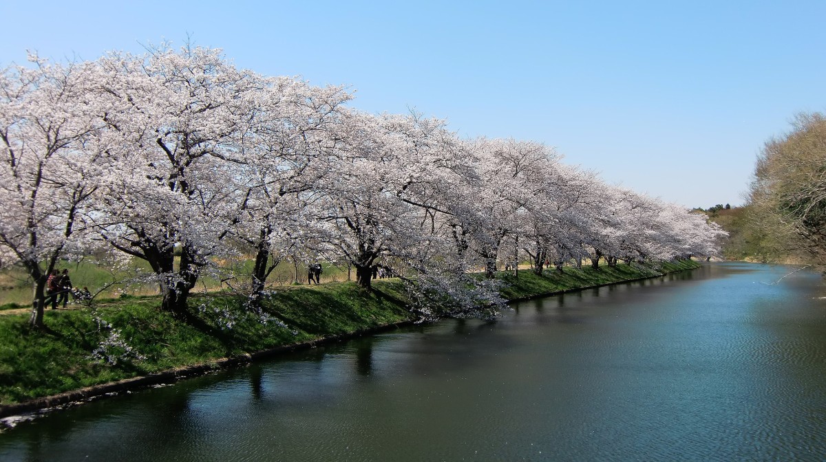 hitachi seaside park