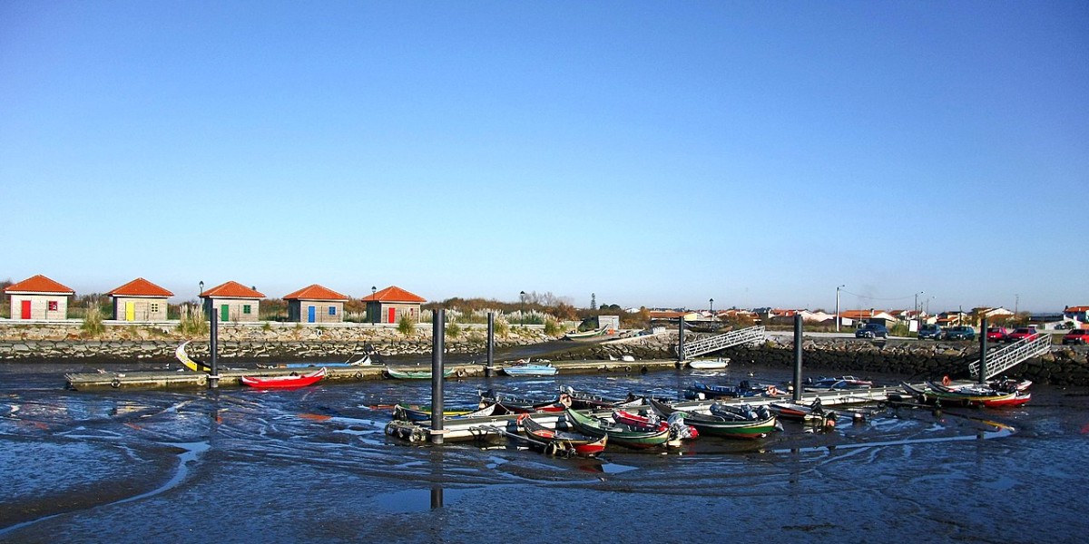 Murtosa
