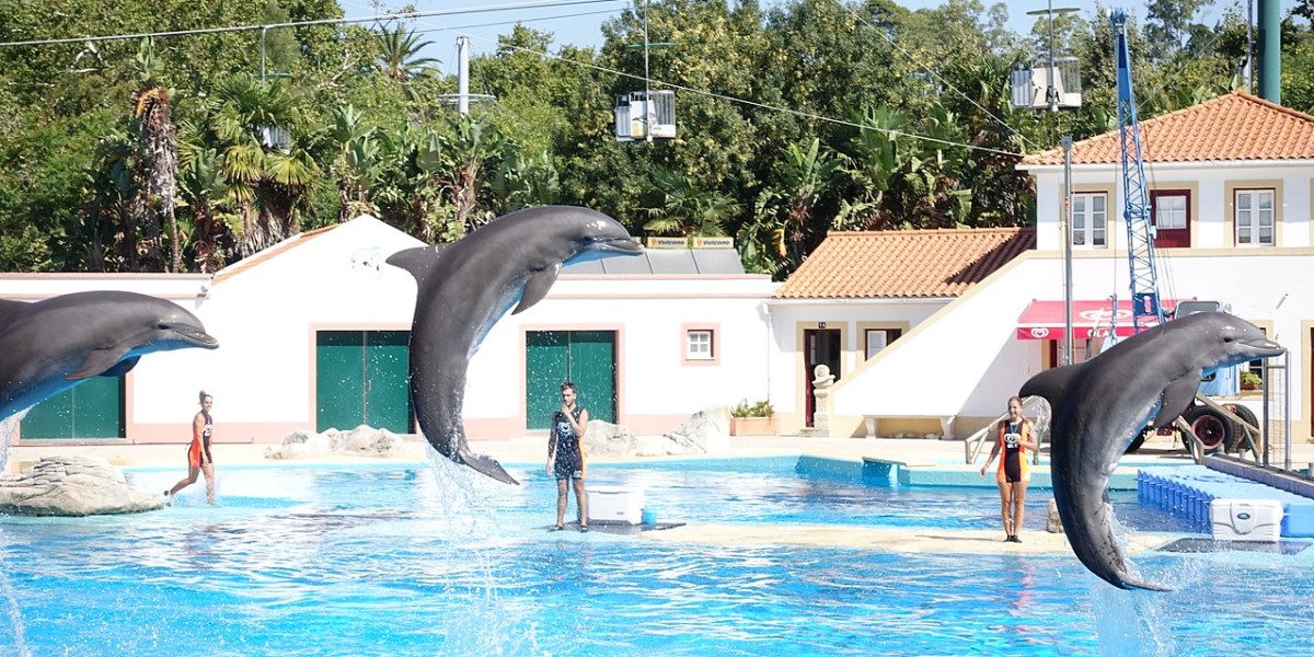Jardim Zoológico