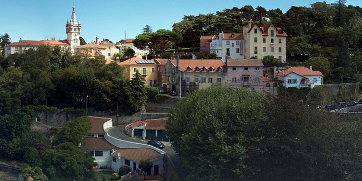 SIntra