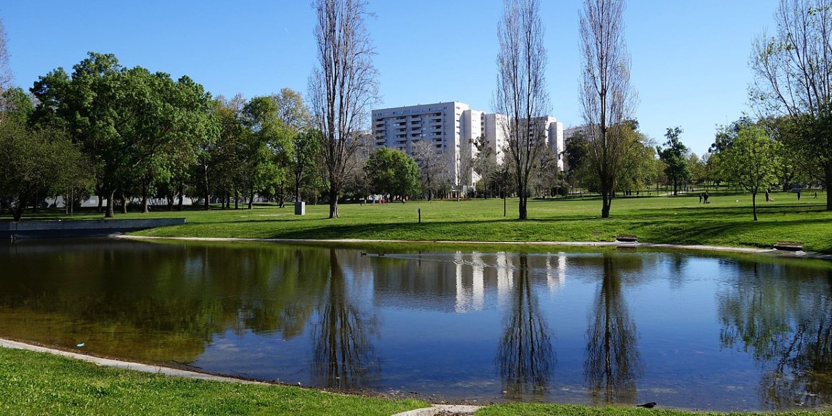 Quinta das conchas
