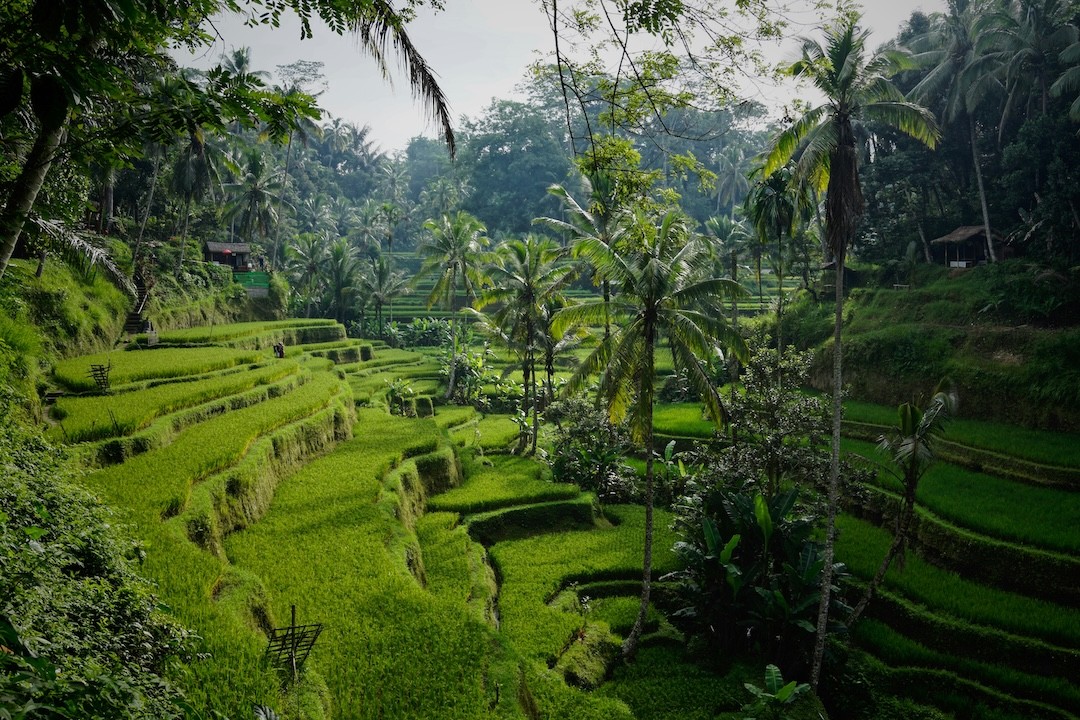 viagem para Bali