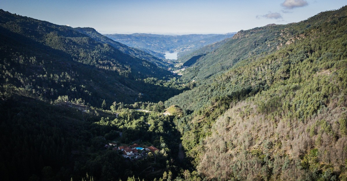 Portugal forests