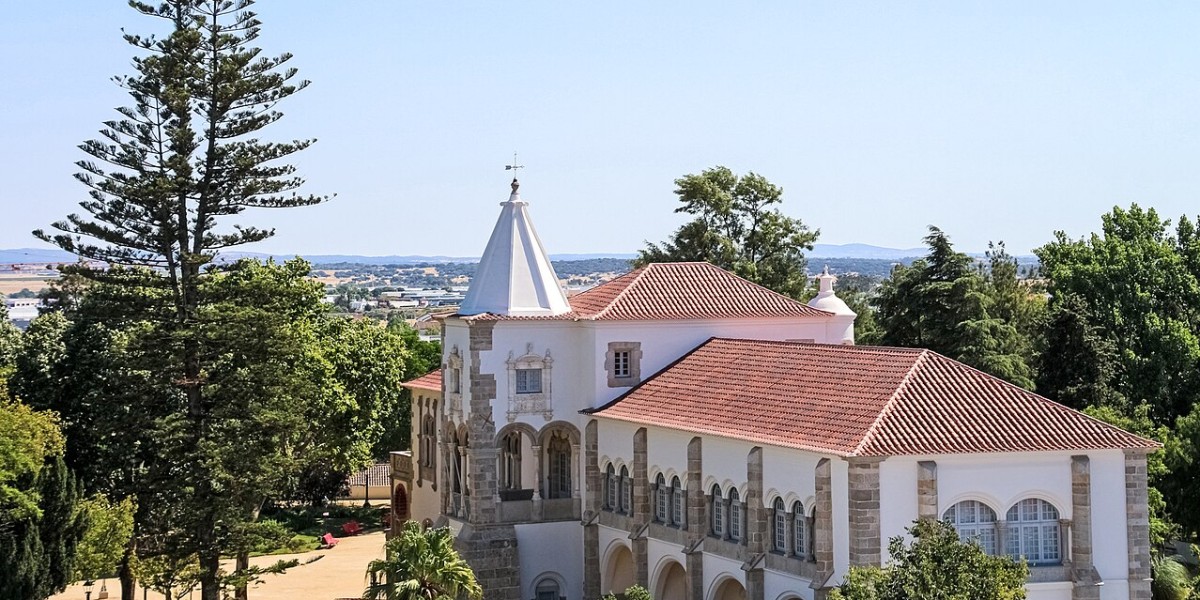 Palácio D Manuel