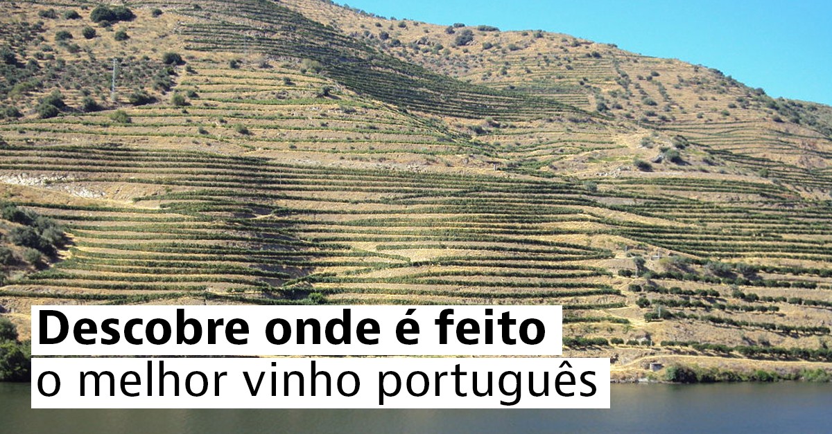 Rota dos vinhos portugueses