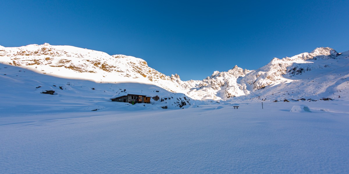 Neve