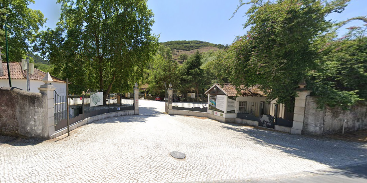 Tapada Nacional de Mafra