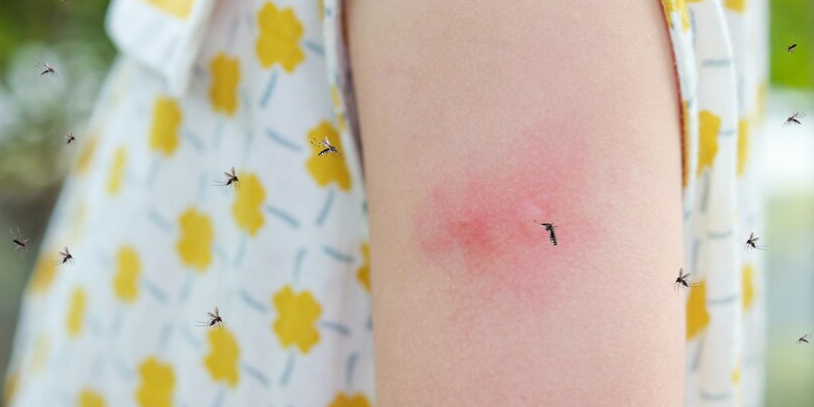 Mosquitos