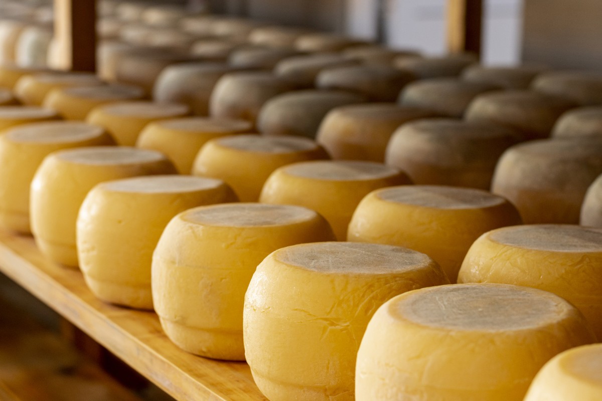Queijo de Serpa