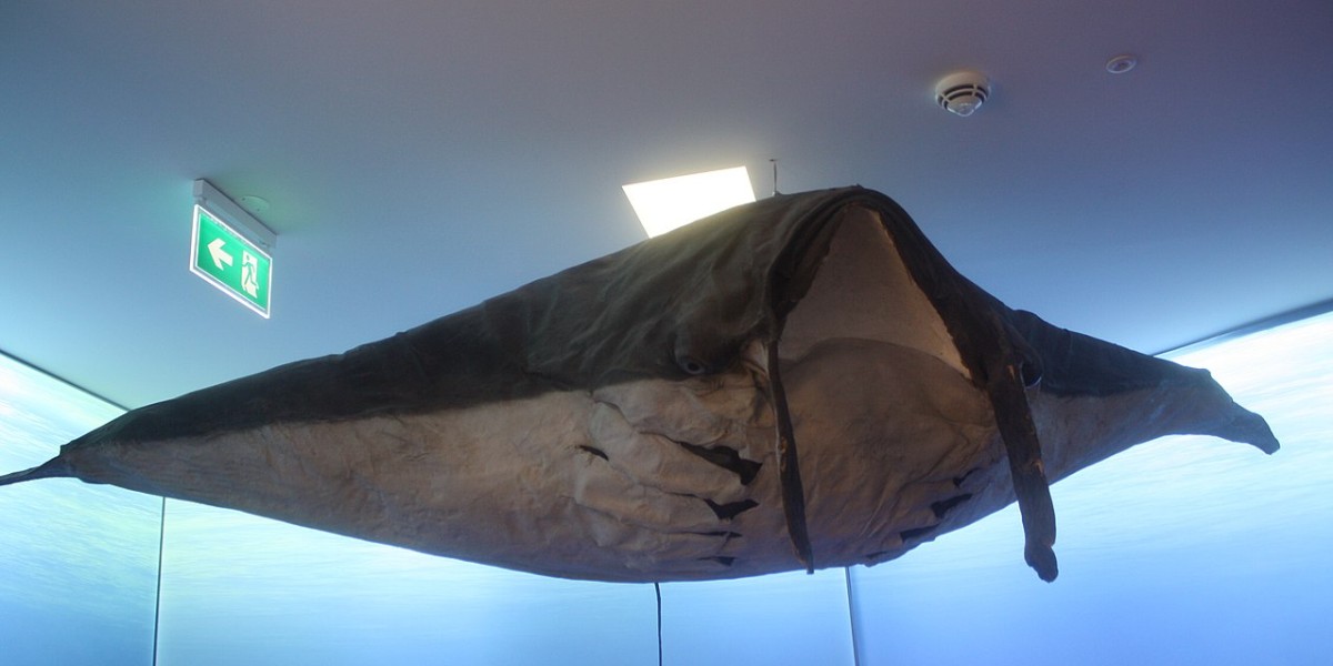 Museu Carlos Machado