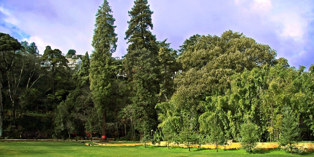 Quinta das Lágrimas