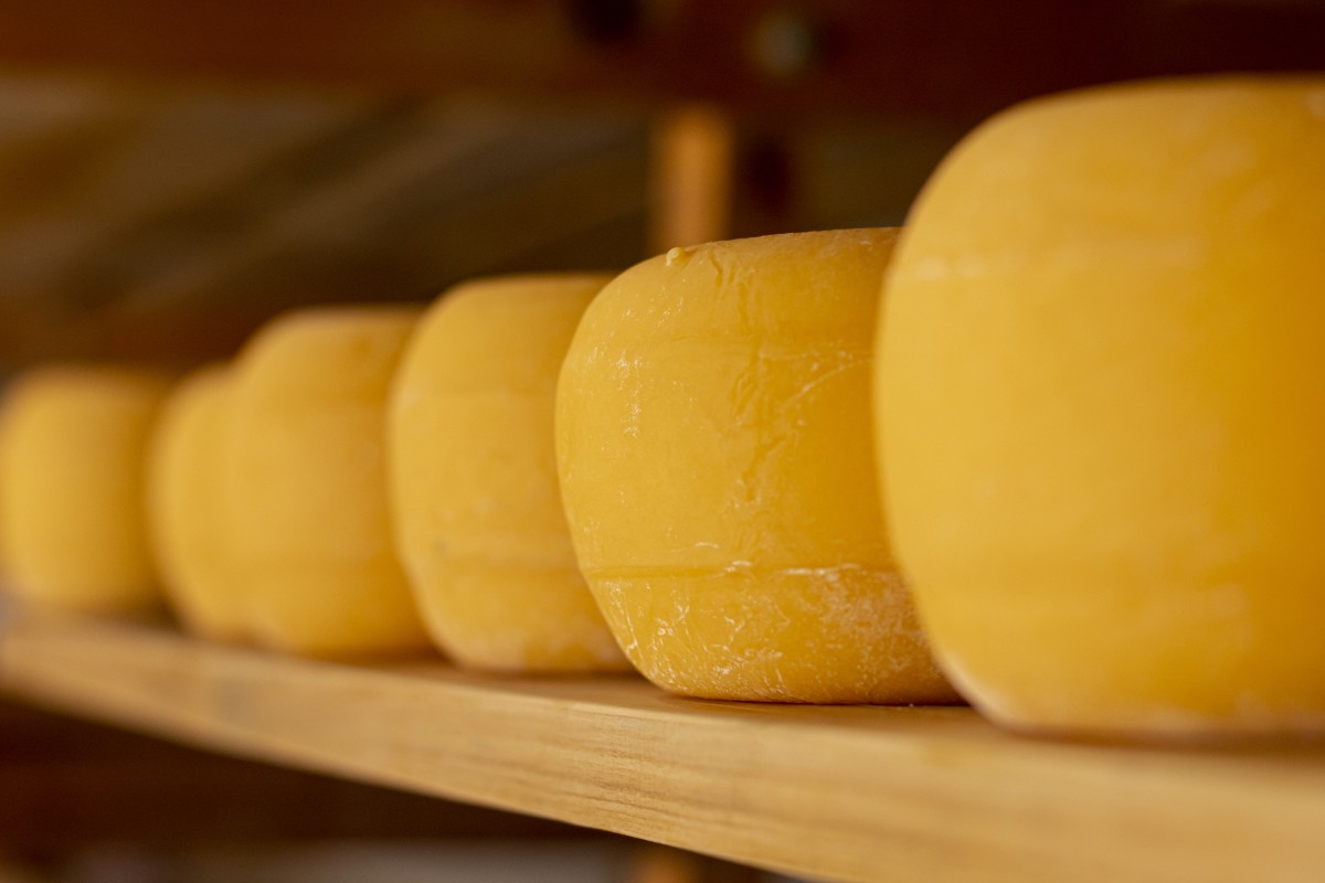 Queijo de Nisa