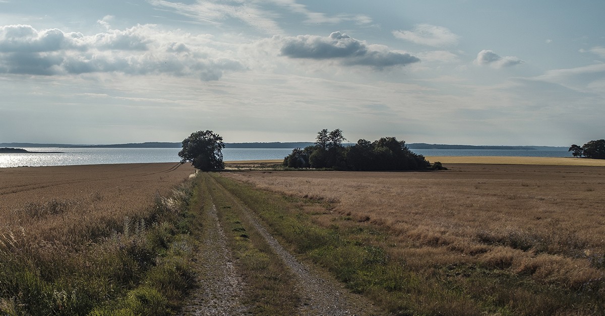 Terrenos em Portugal