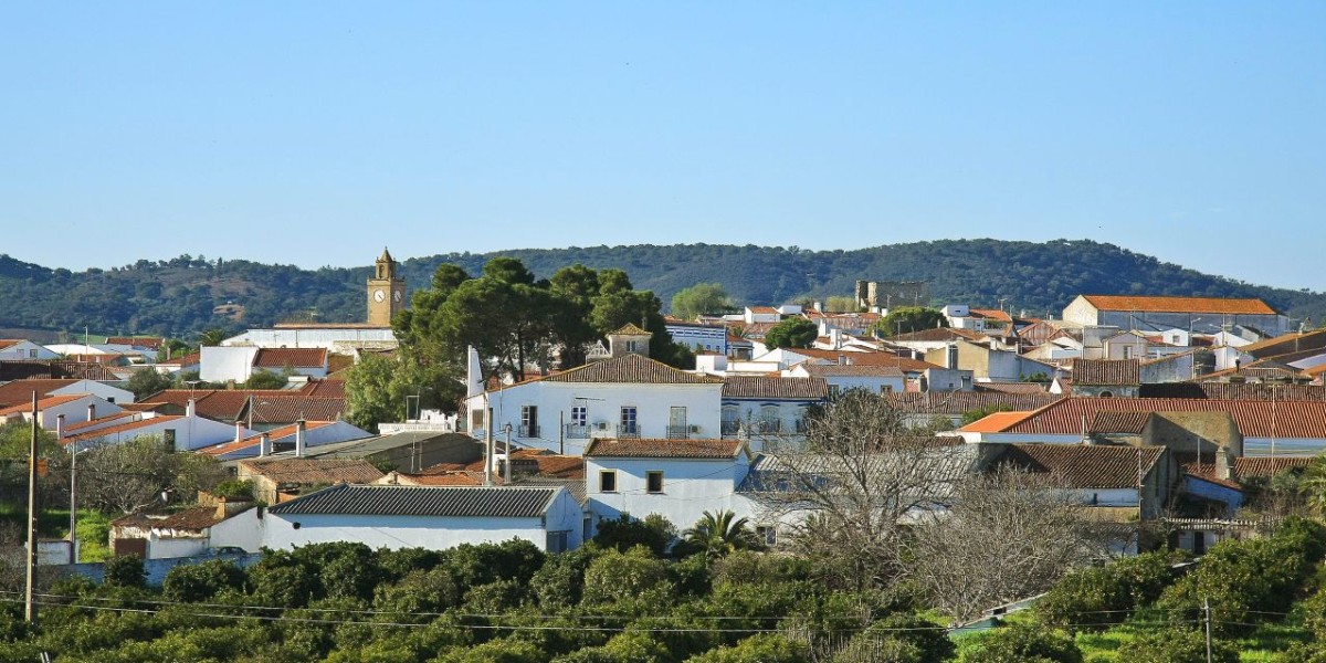 Vidigueira