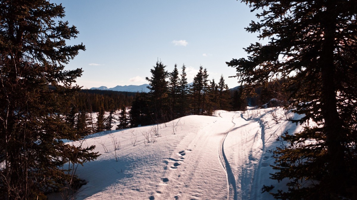 ciclovias pelo mundo
