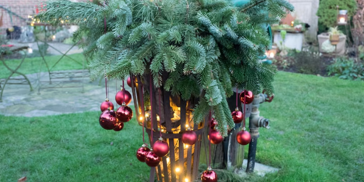 Natal