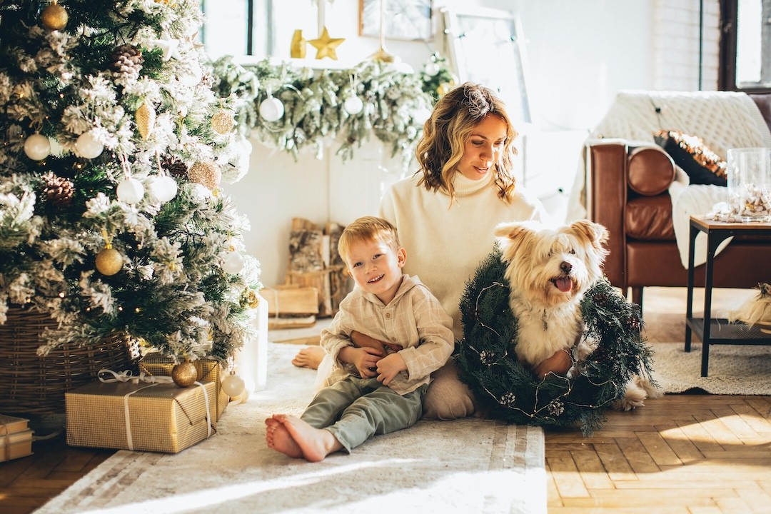 família com cão no Natal