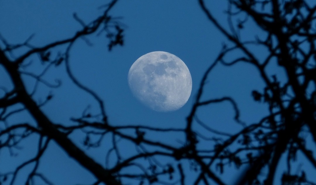 superlua