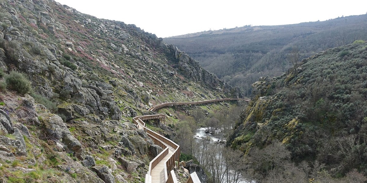 Passadiços do Mondego