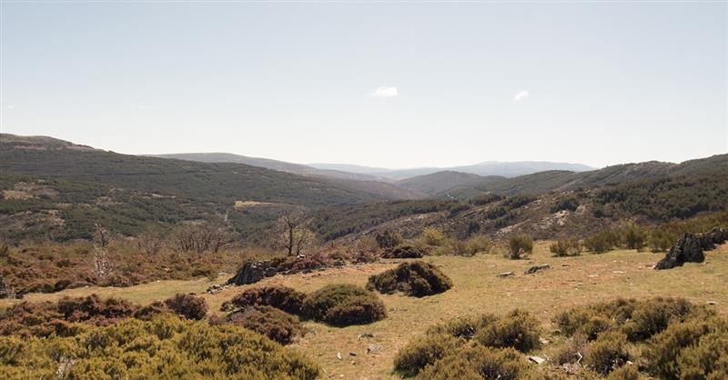 Proprietários de terrenos rústicos