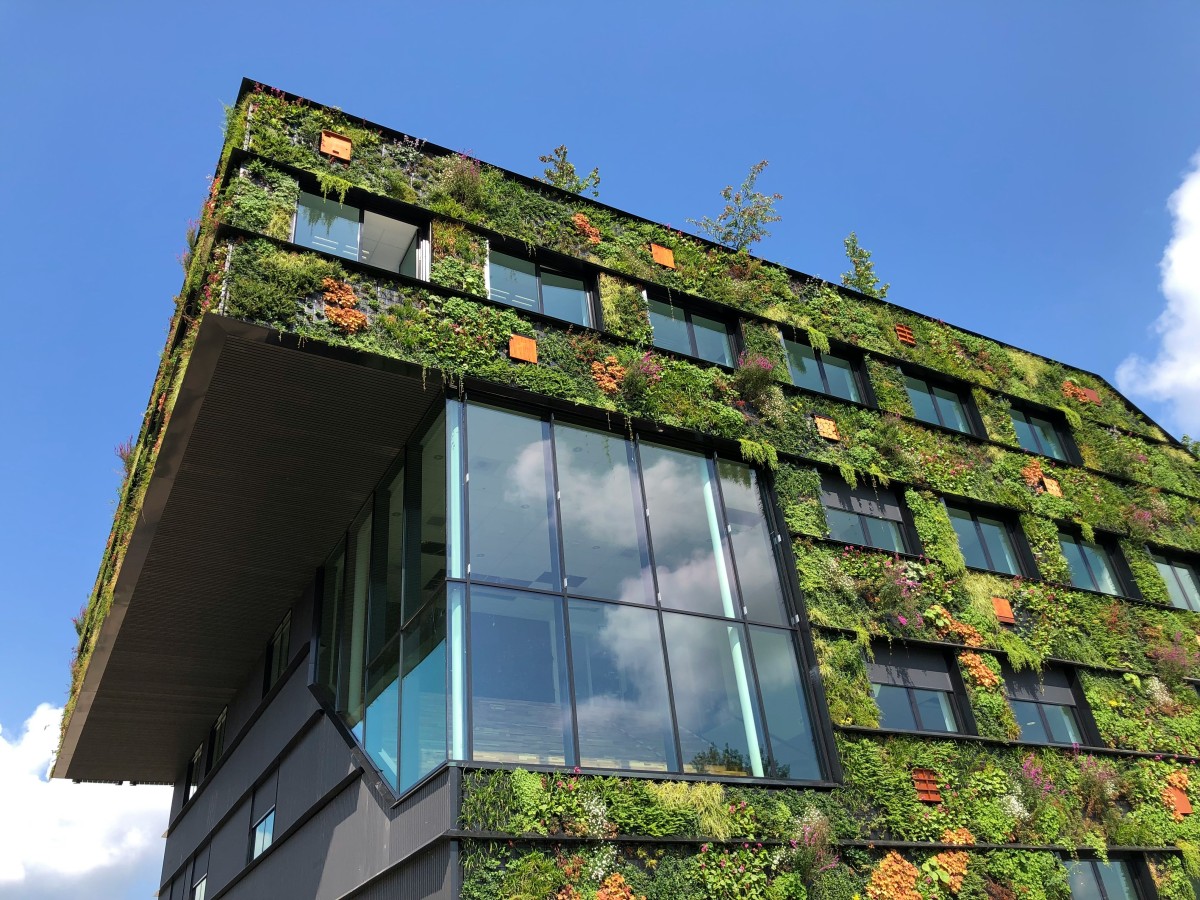 Edifício verde