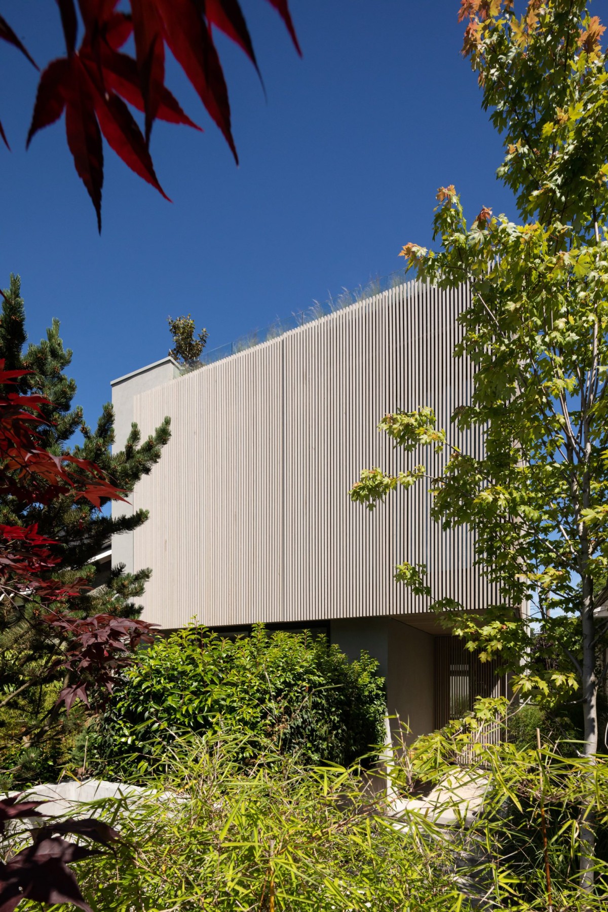 casa de design