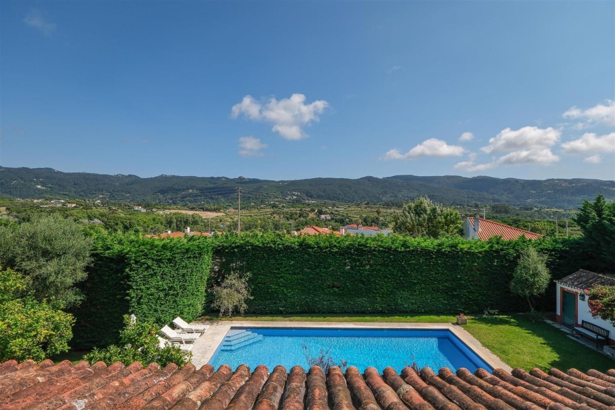 Vistas al campo