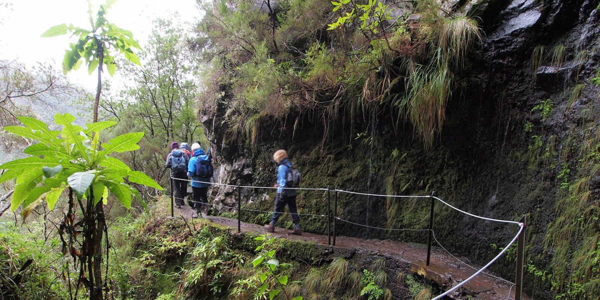 Levada do Caldeirão Verde