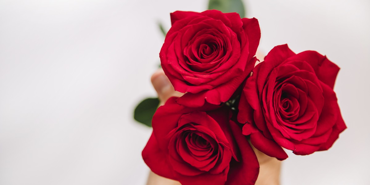 Rosas vermelhas