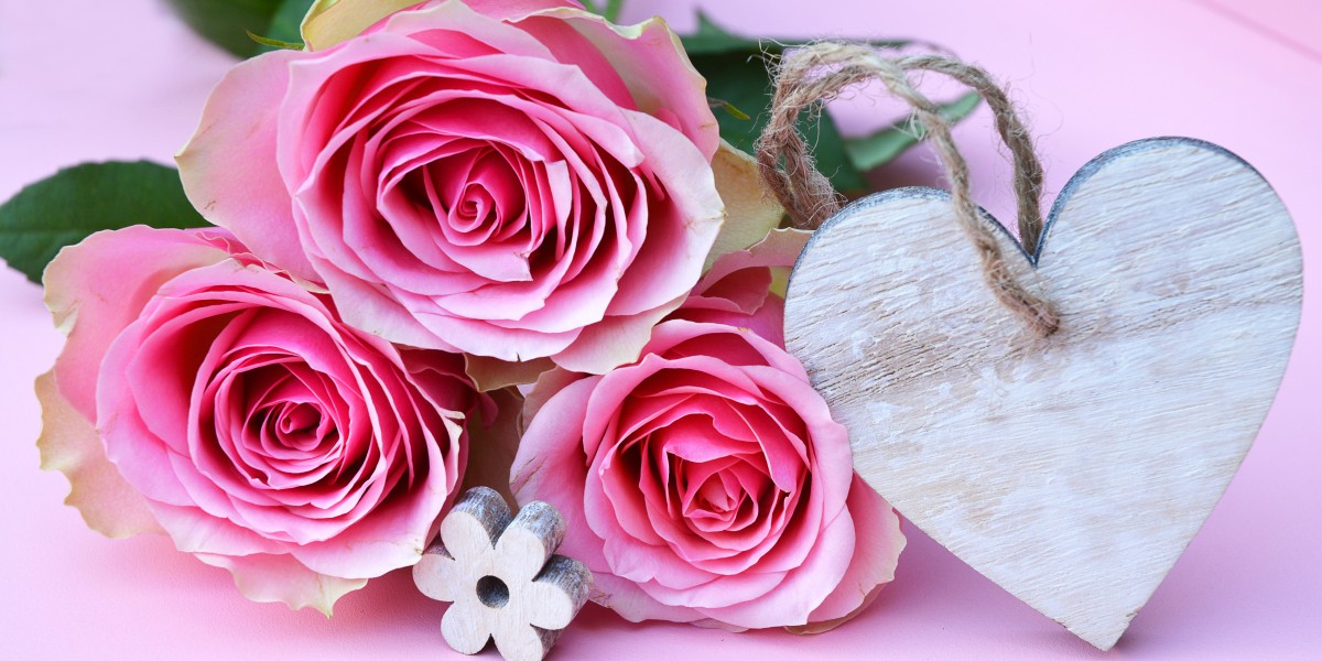 Rosas cor de rosa