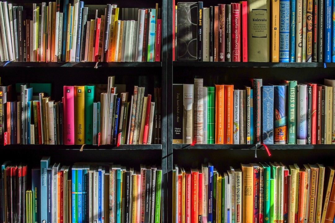livros em estante