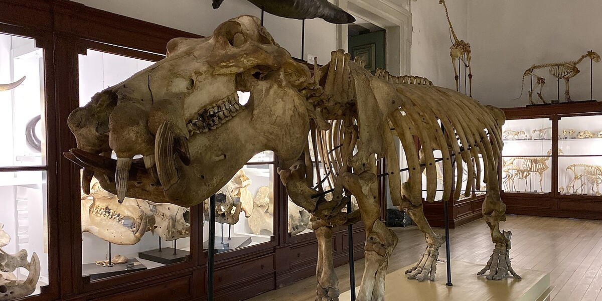 Museu da ciência