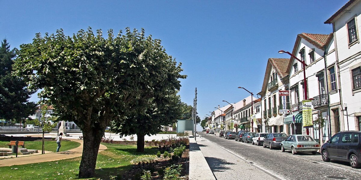 Oliveira do Hospital