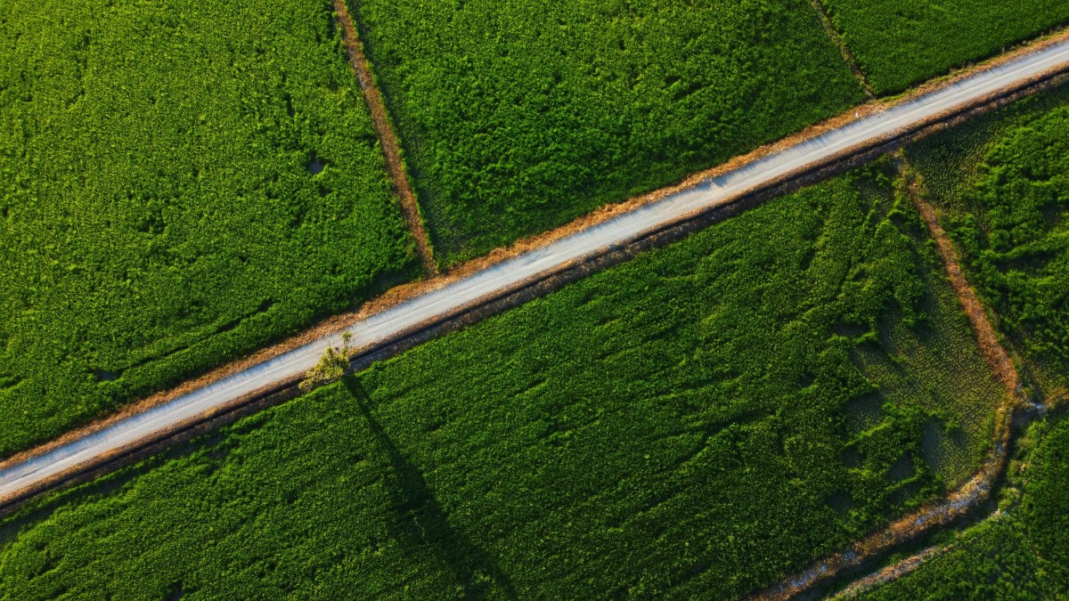 terrenos
