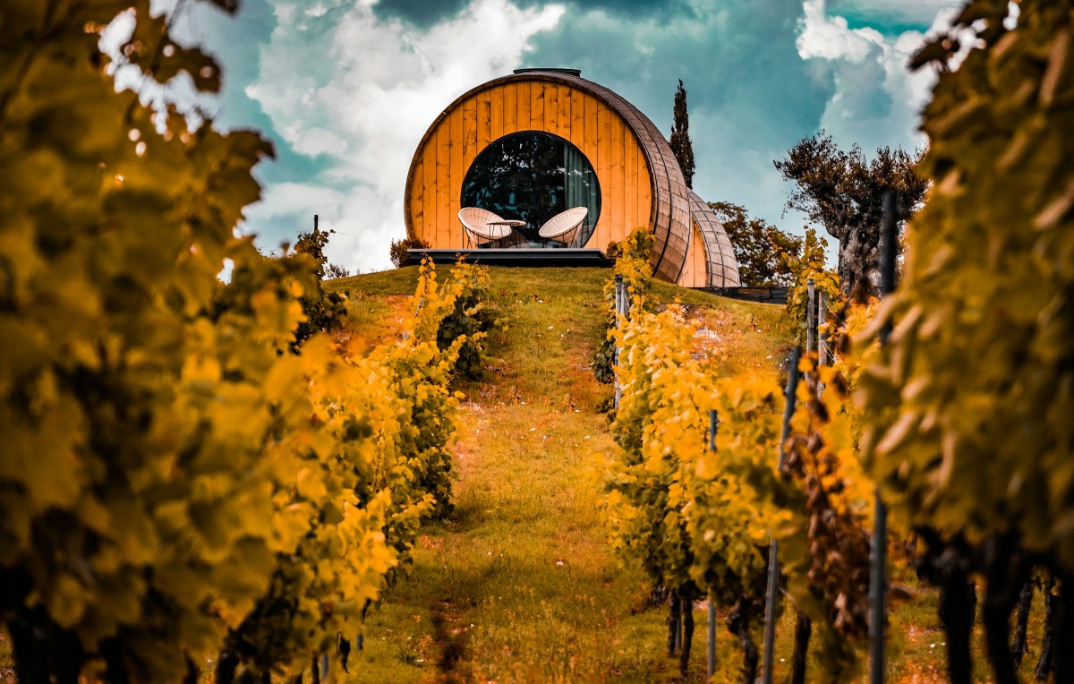 Regione vinicola della valle del Douro