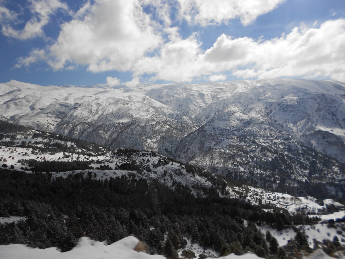 sierra nevada
