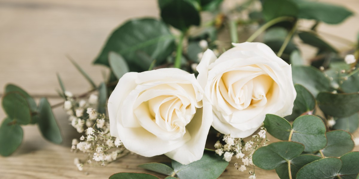 Rosas Brancas