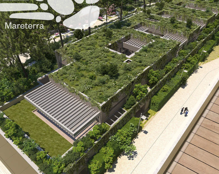 Casas con techos vegetales