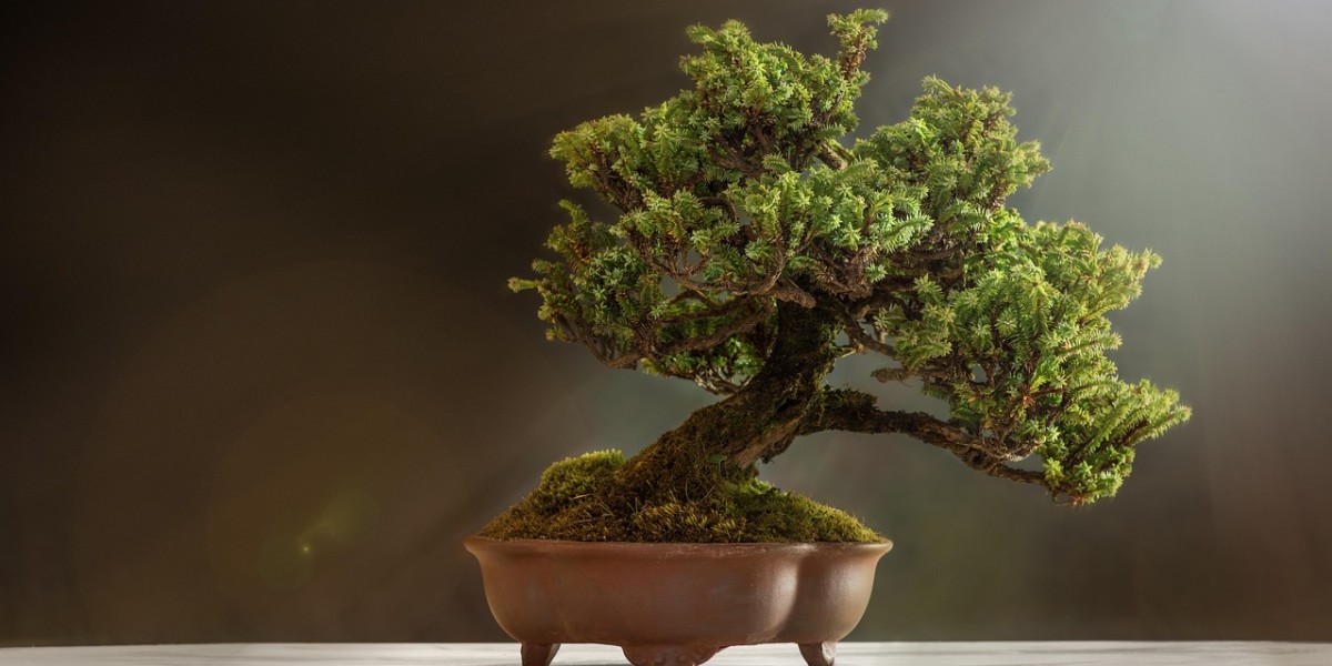 Bonsai
