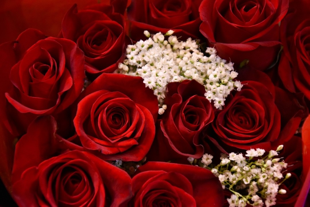 oferta de flores