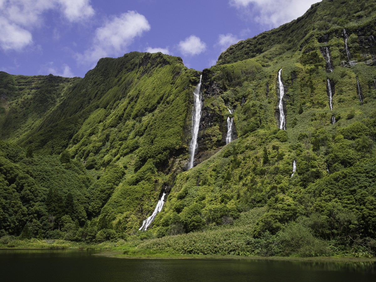 ilha das flores
