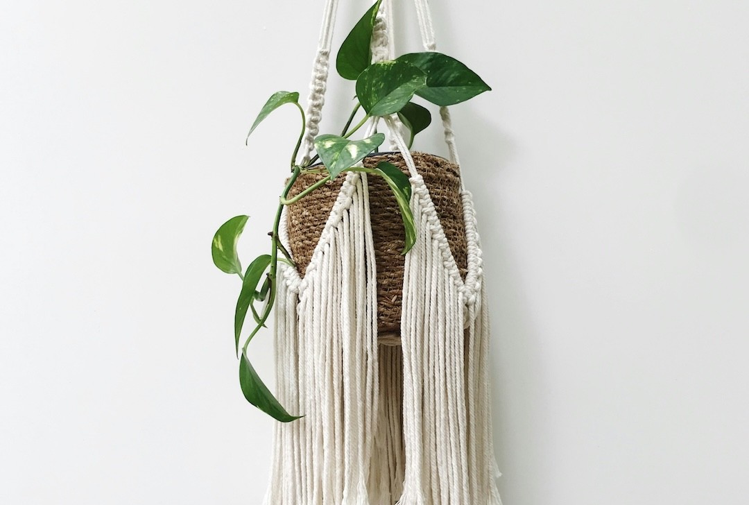 macramé em planta suspensa