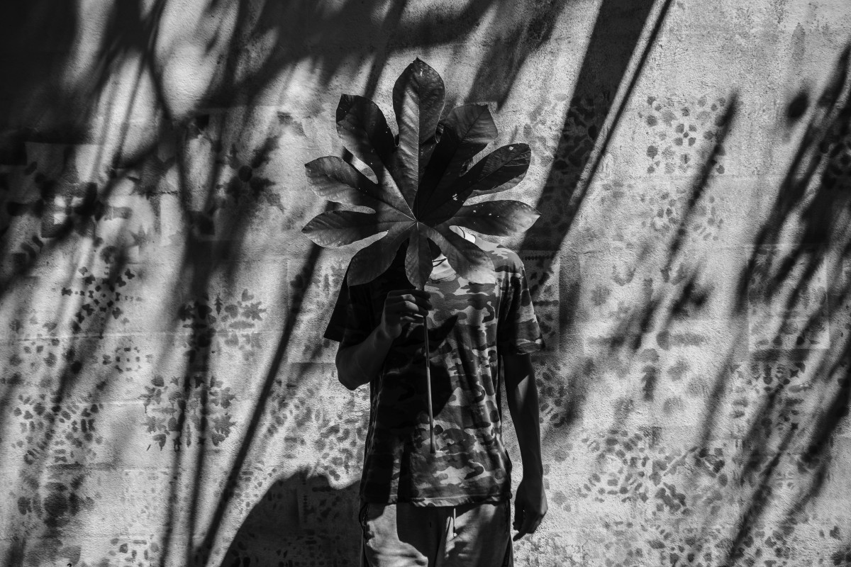 fotografias do ano