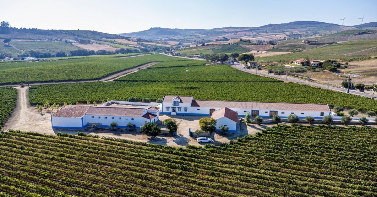 Quinta de vinhas em Portugal