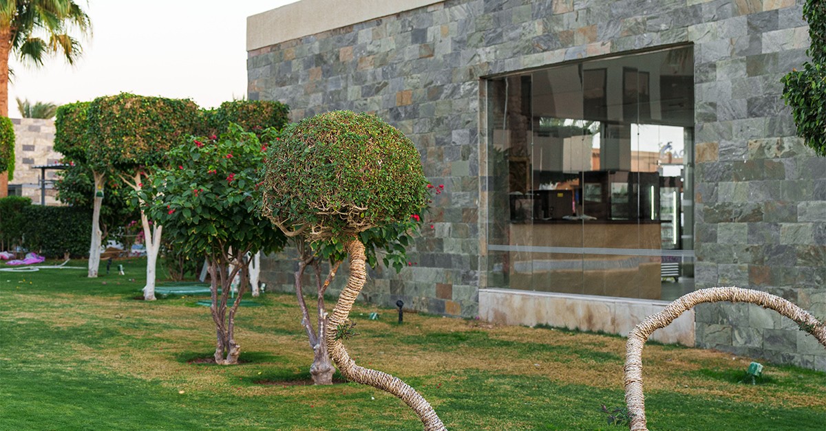 investir num jardim