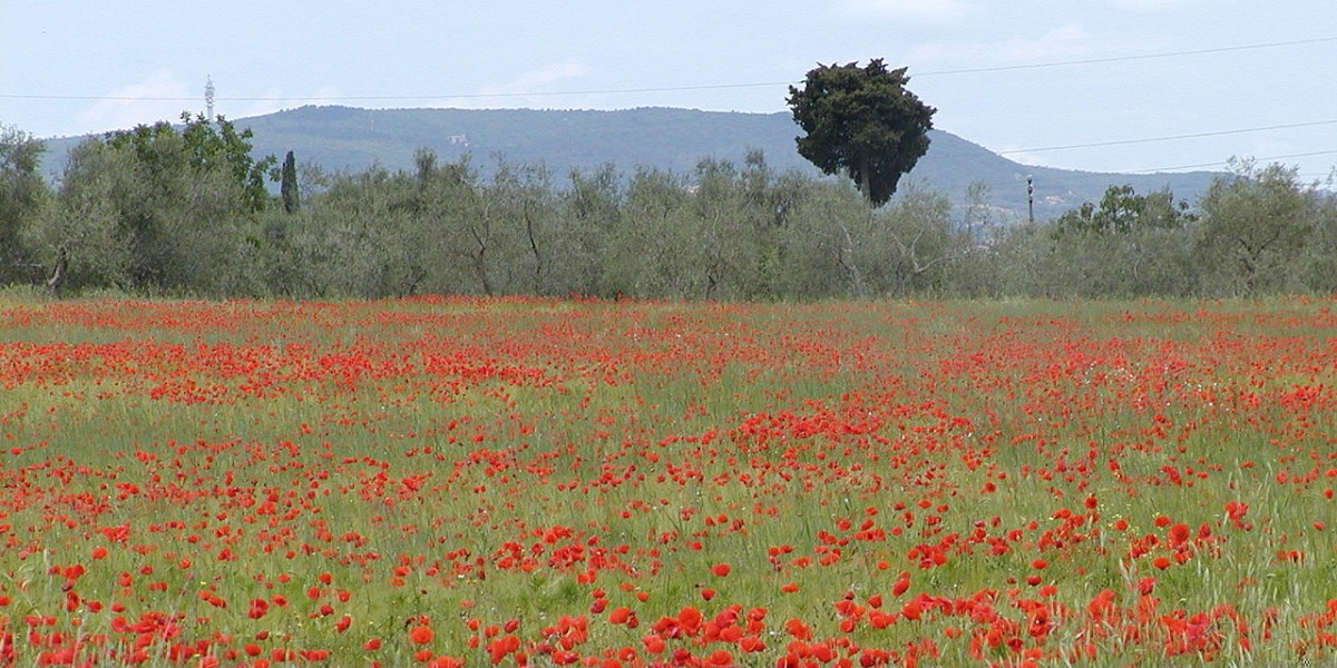 Toscana