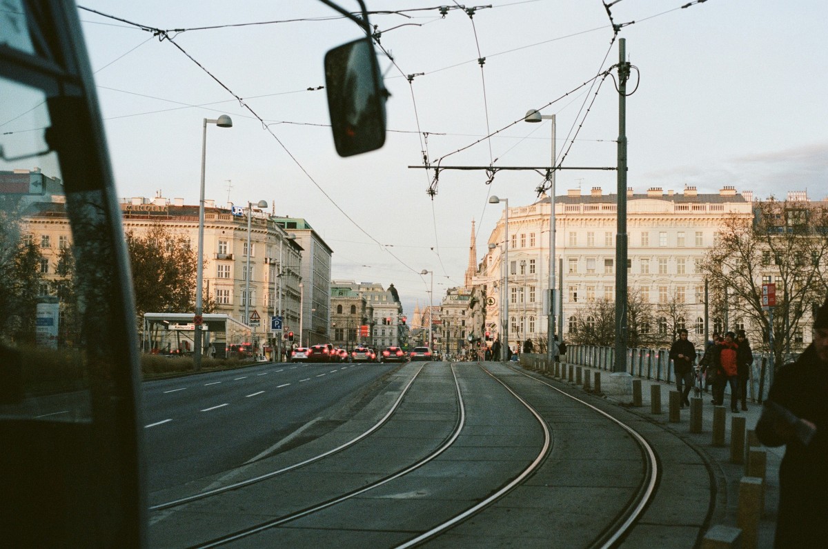 Viena
